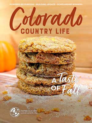Stack of homemade cookies with a fall themed background