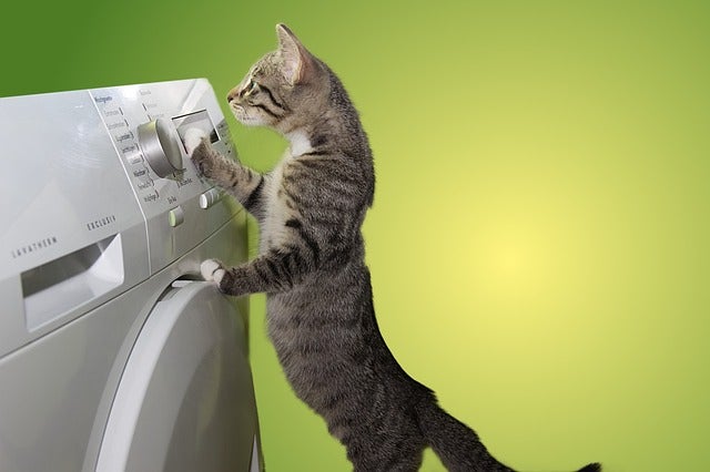 Clothes Dryer