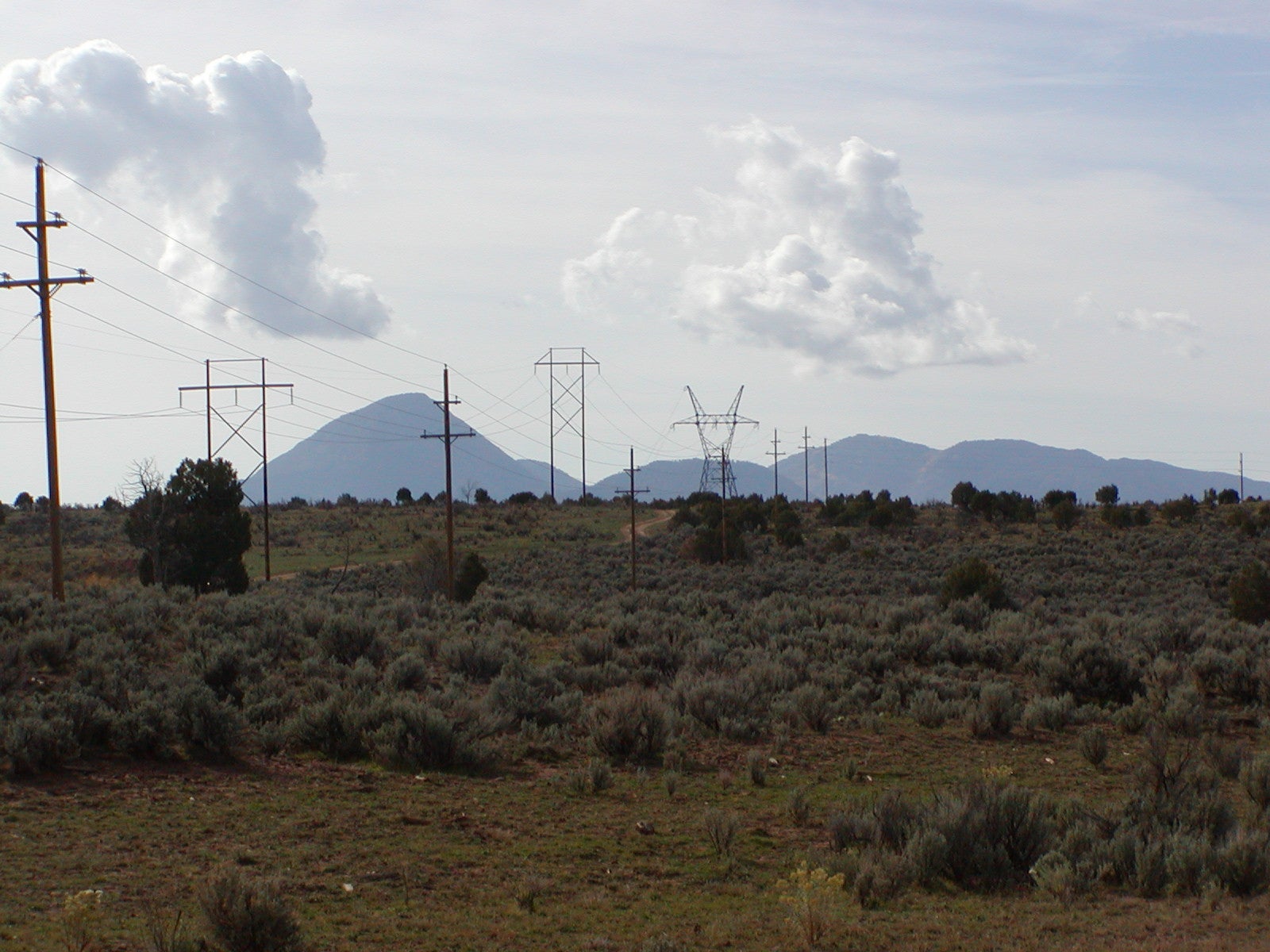 Transmission and Distribution electric lines with Ute Mountain in background