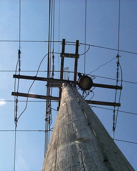 view looking up from the base of a power pole toward the crossarms